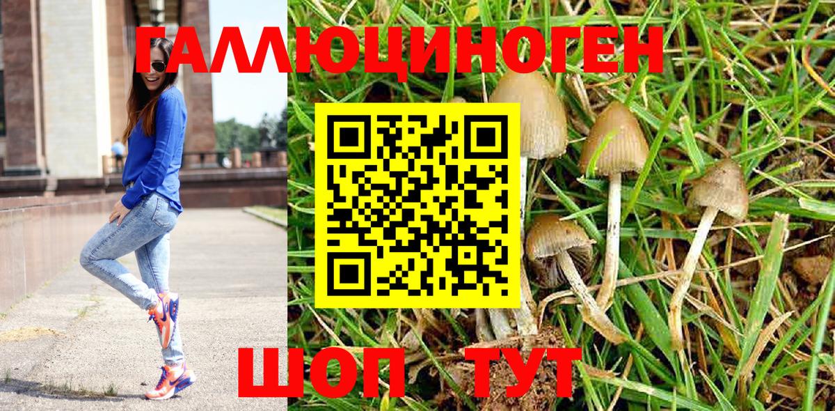 Псилоцибиновые грибы Cubensis Избербаш