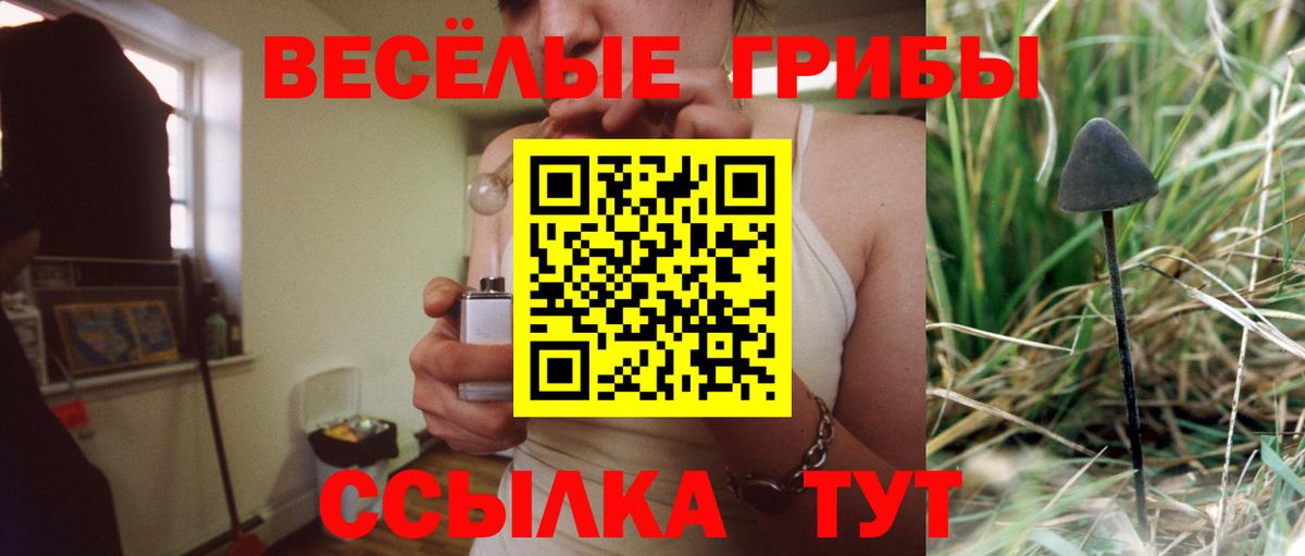 Галлюциногенные грибы мухоморы  Вход с VPN  Избербаш 